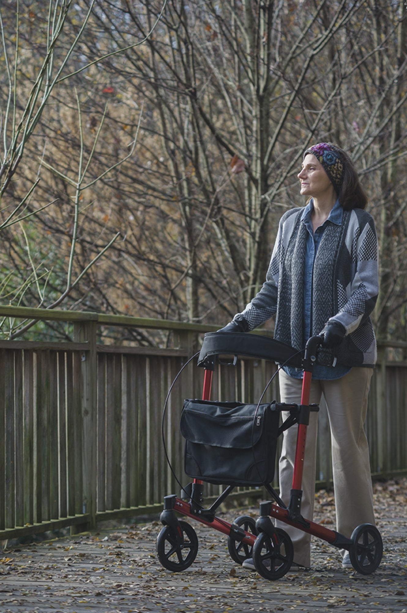 Allura LX, Tall Rollator, Black (LX5000LXA)