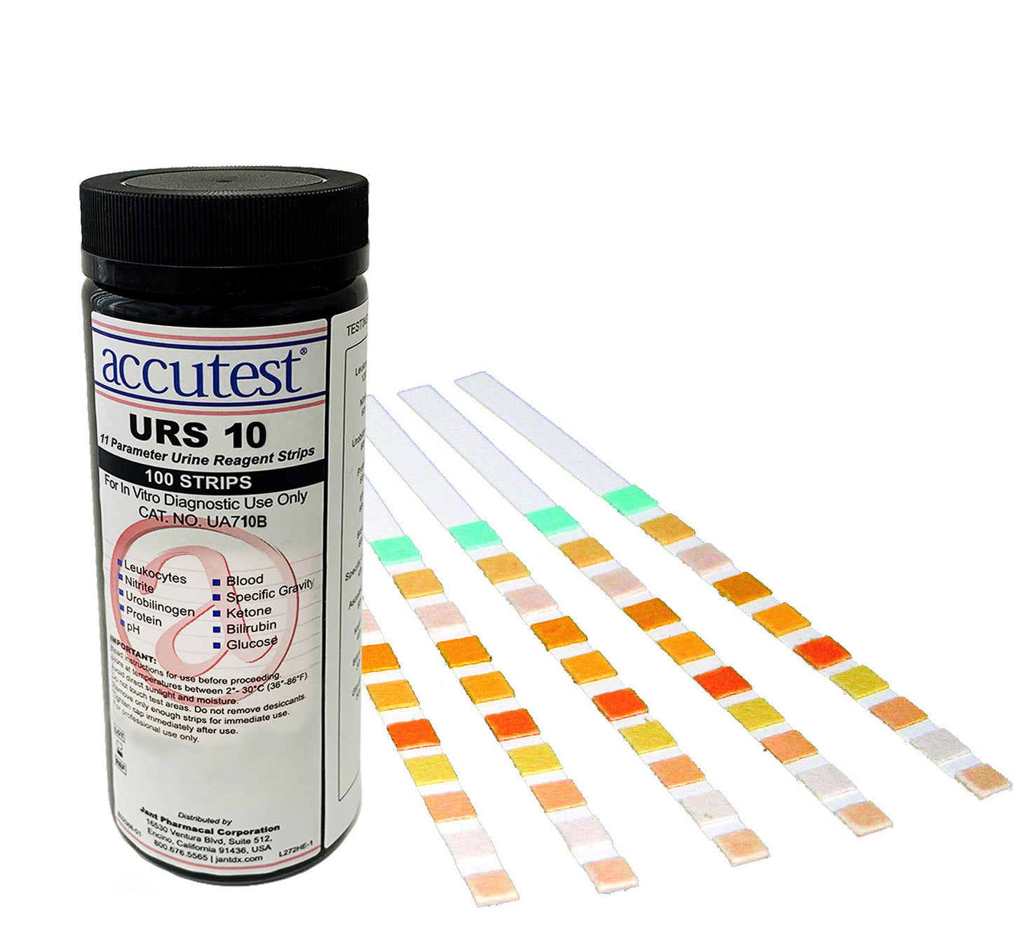 Accutest, URS-10 Urine Reagent Strips, 24 Bottles (UA824B)
