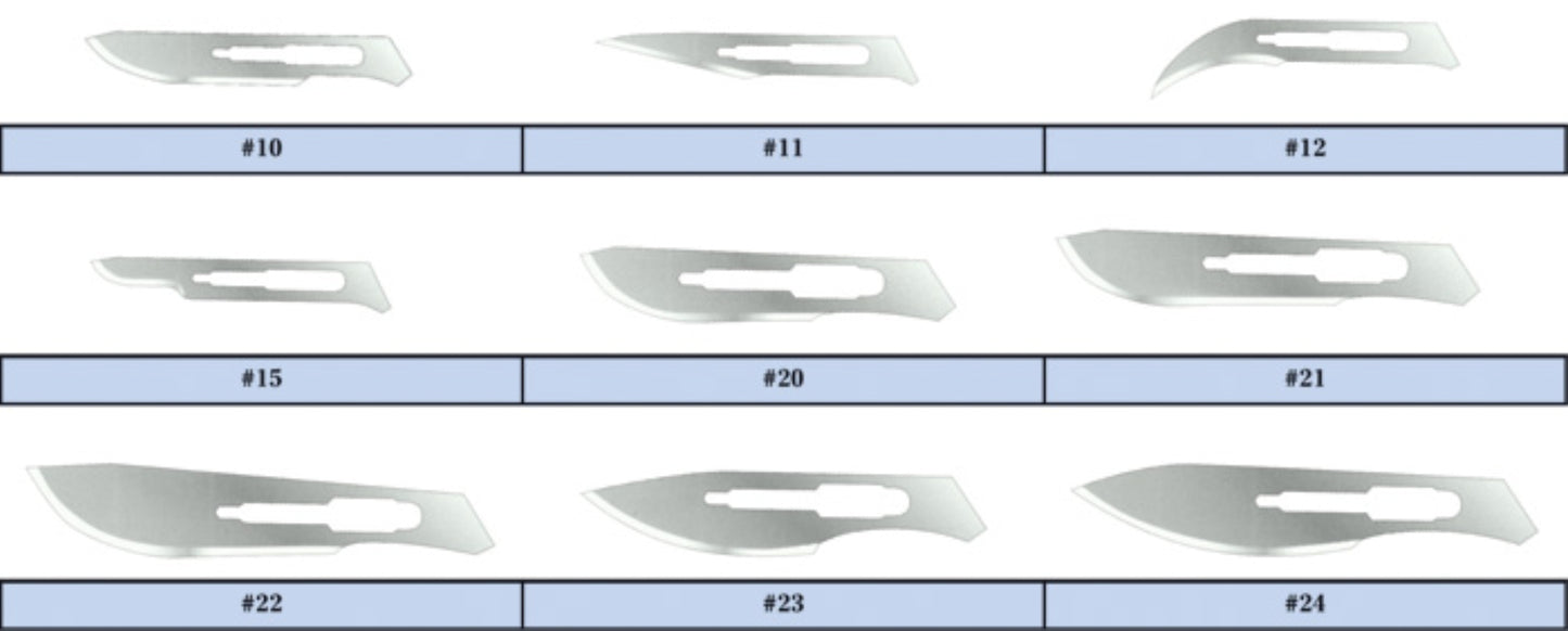 Feather Conventional Sterile Stainless Steel Surgical Blades, Size 21 (#21) (2976#21)
