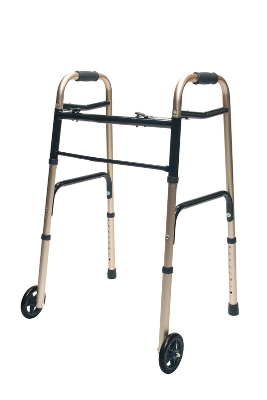 Graham Field Evrydy Wlkr W/whls Dual Rl Gol Adult, 1 Ea, Lumex medical supply