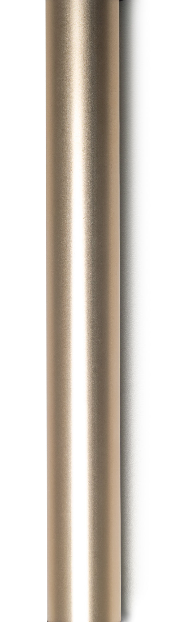 Graham Field Evrydy Wlkr W/whls Dual Rl Gol Adult, 1 Ea, Lumex medical supply view 3