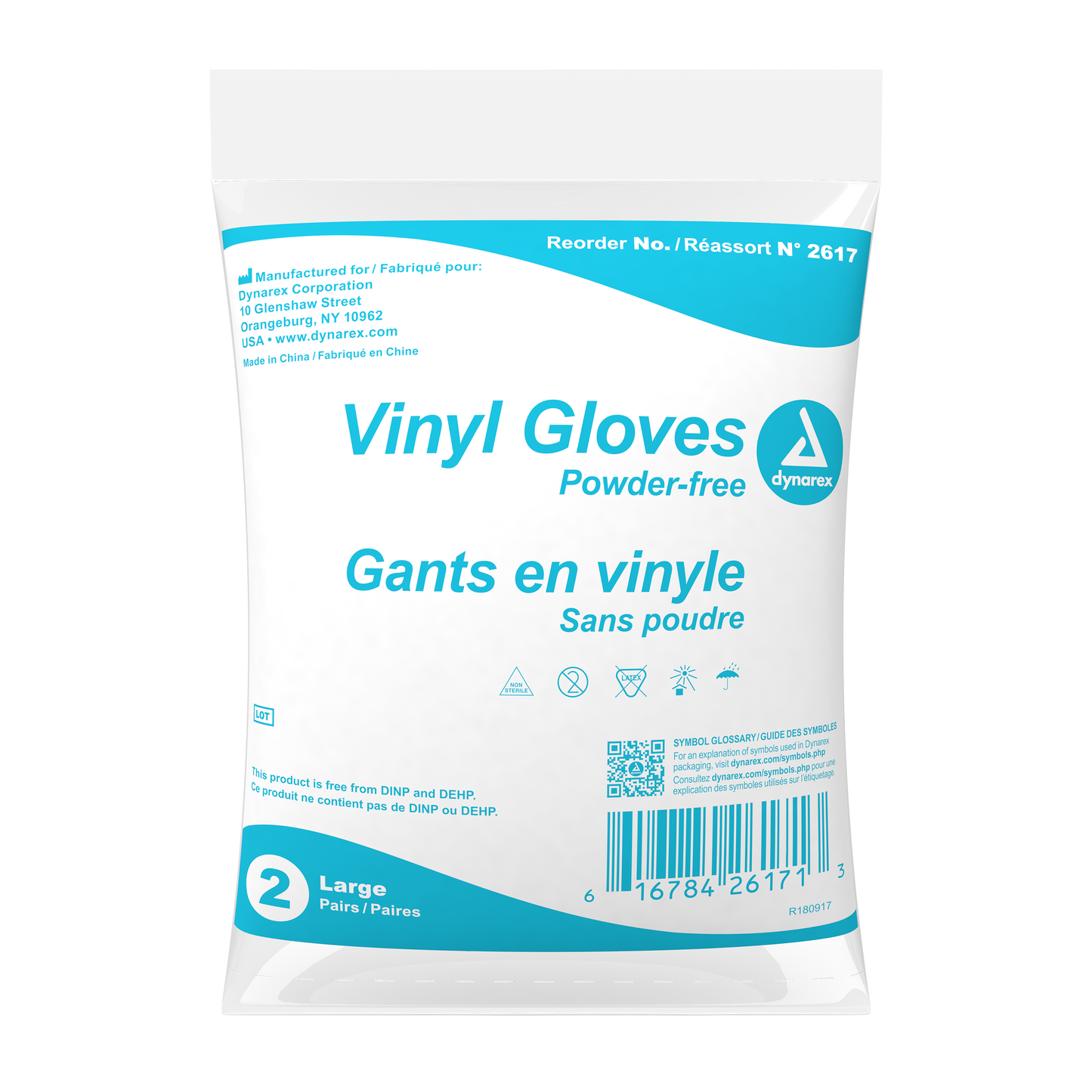 Vinyl Exam Gloves In A Bag, Large, Powder-Free, Clear, 500/2pr/cs