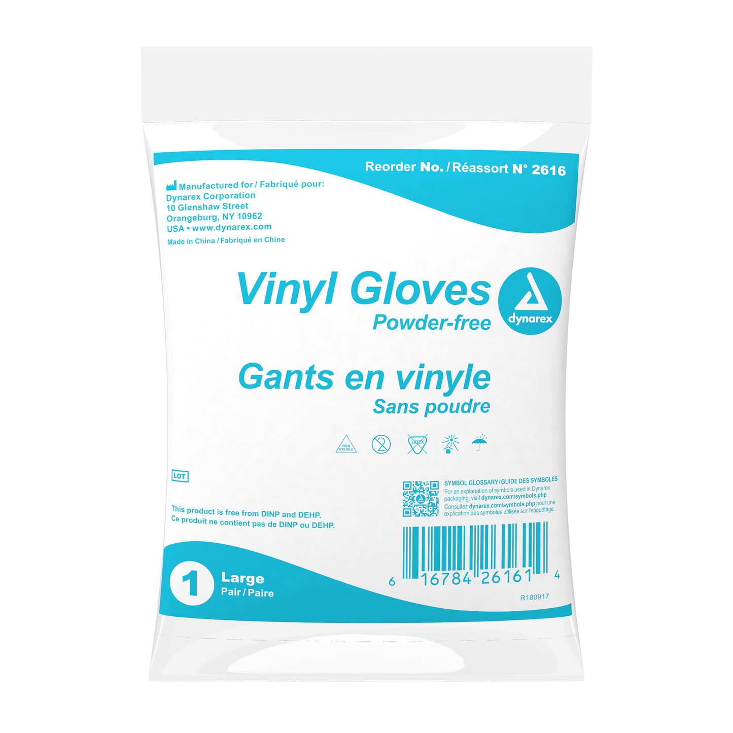 Vinyl Exam Gloves In A Bag, Large, Powder-Free, Clear, 500/1pr/cs